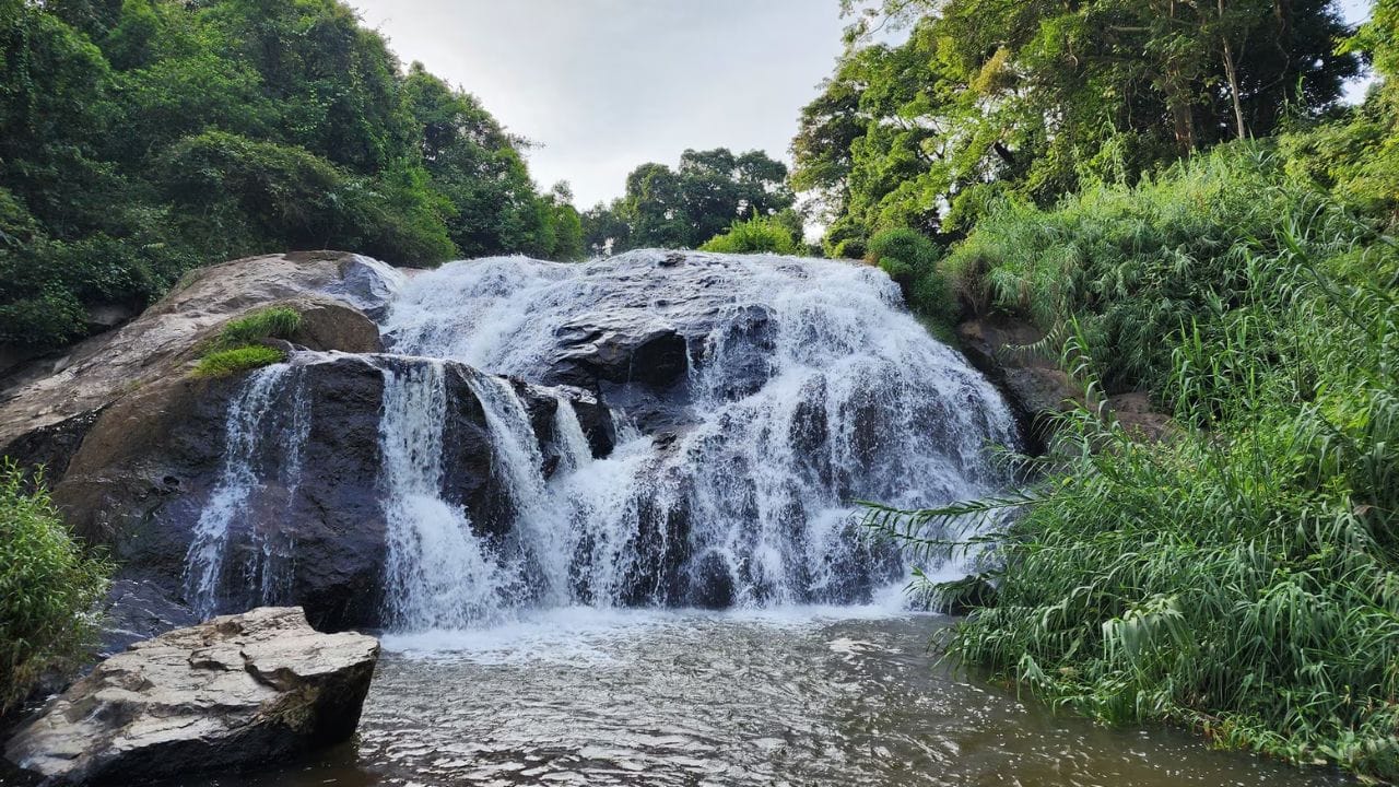 அந்த வகையில்  நீலகிரி மாவட்டத்தில்  பிரம்மிக்க வைக்கும் அழகுடன்,  குளிர்ச்சி நிறைந்த  சூழலுடன்  அமைந்துள்ளது  கேத்தரின் நீர்வீழ்ச்சி  பகுதி.  இங்கு சுற்றுலா சென்றால்  பல்வேறு சுற்றுலா இடங்களை  உள்ளம் குளிர கண்டு களிக்கலாம். நீலகிரி மாவட்டம்,  கோத்தகிரி  பகுதியில் அமைந்துள்ளது கேத்தரின் நீர்வீழ்ச்சி  பகுதி.  இங்கு,  படர்ந்து விரிந்த  அடர்ந்த  காடுகள்,  கண்ணுக்கு எட்டிய தூரம் வரை பச்சை பசேலென  காணப்படும்  தேயிலை தோட்டங்கள்  மற்றும் மலைகளுக்கு நடுவே  வானத்தில் இருந்து  ஆர்ப்பரித்து கொட்டும்  கேத்தரின்  நீர்வீழ்ச்சி முக்கிய இடமாக விளங்கி வருகிறது.