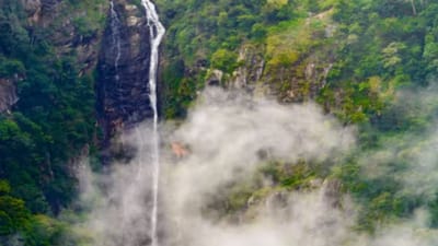 அடர்ந்த காட்டில் அழகான நீர்வீழ்ச்சி: நீலகிரியில் இப்படியொரு இடமா