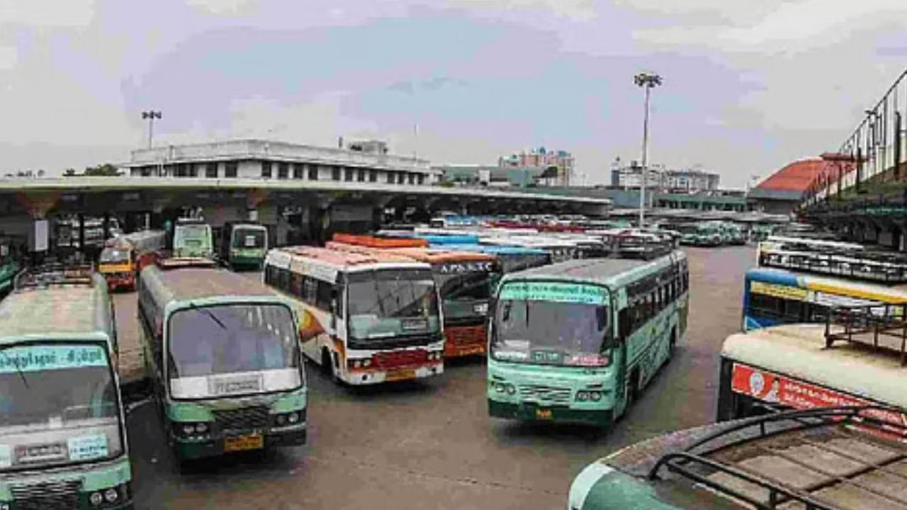 செங்கல்பட்டு சட்டமன்றத் தொகுதியில் நகர்ப்புற மற்றும் கிராமப்புற வாக்காளர்கள் கலந்த அமைப்பில் உள்ளனர். இங்கு பெரும்பாலும் தொழிற்சாலைகள், சிறு மற்றும் நடுத்தர தொழில்கள் அதிகமாக உள்ளன. மேலும், நெல் மற்றும் காய்கறி விவசாயமும் முக்கியமாக நடைபெற்று வருகிறது. சென்னைக்கு அருகில் அமைந்திருப்பதன் காரணமாக, ரியல் எஸ்டேட் வளர்ச்சியும் அதிகரித்து வருகிறது.