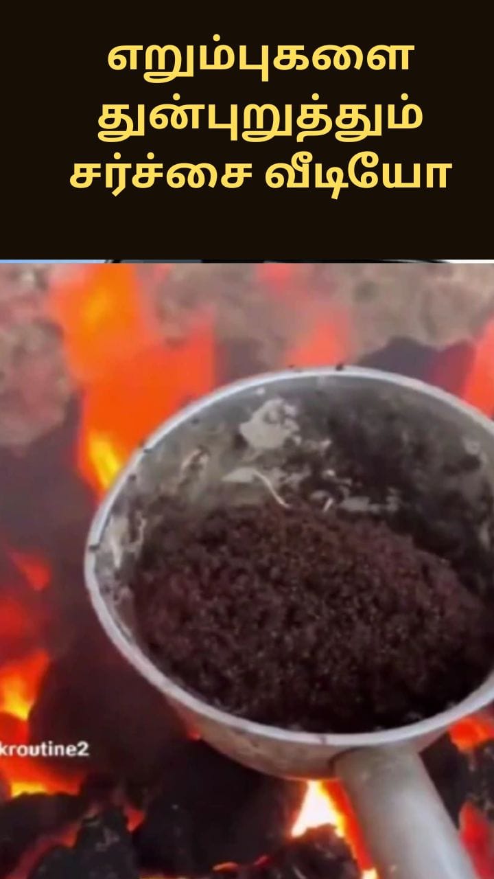 எறும்புகளை துன்புறுத்தும் சர்ச்சை வீடியோ - நெட்டிசன்கள் எதிர்ப்பு