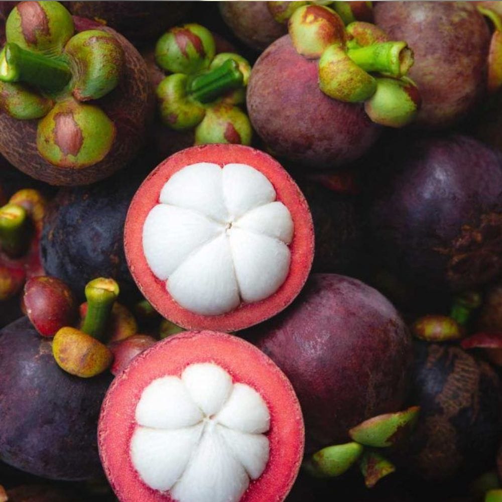 இந்தப் பழம் இனிப்பும் மென்மையான புளிப்பும் கலந்த சுவை கொண்டது.
ஒவ்வொரு பகுதியும் மென்மையான உணர்வை தருகிறது.
சாப்பிடும் போது சுவைமிகு அனுபவம் கிடைக்கிறது.
இதனால் பலருக்கும் மிகவும் பிடித்த பழமாக உள்ளது.