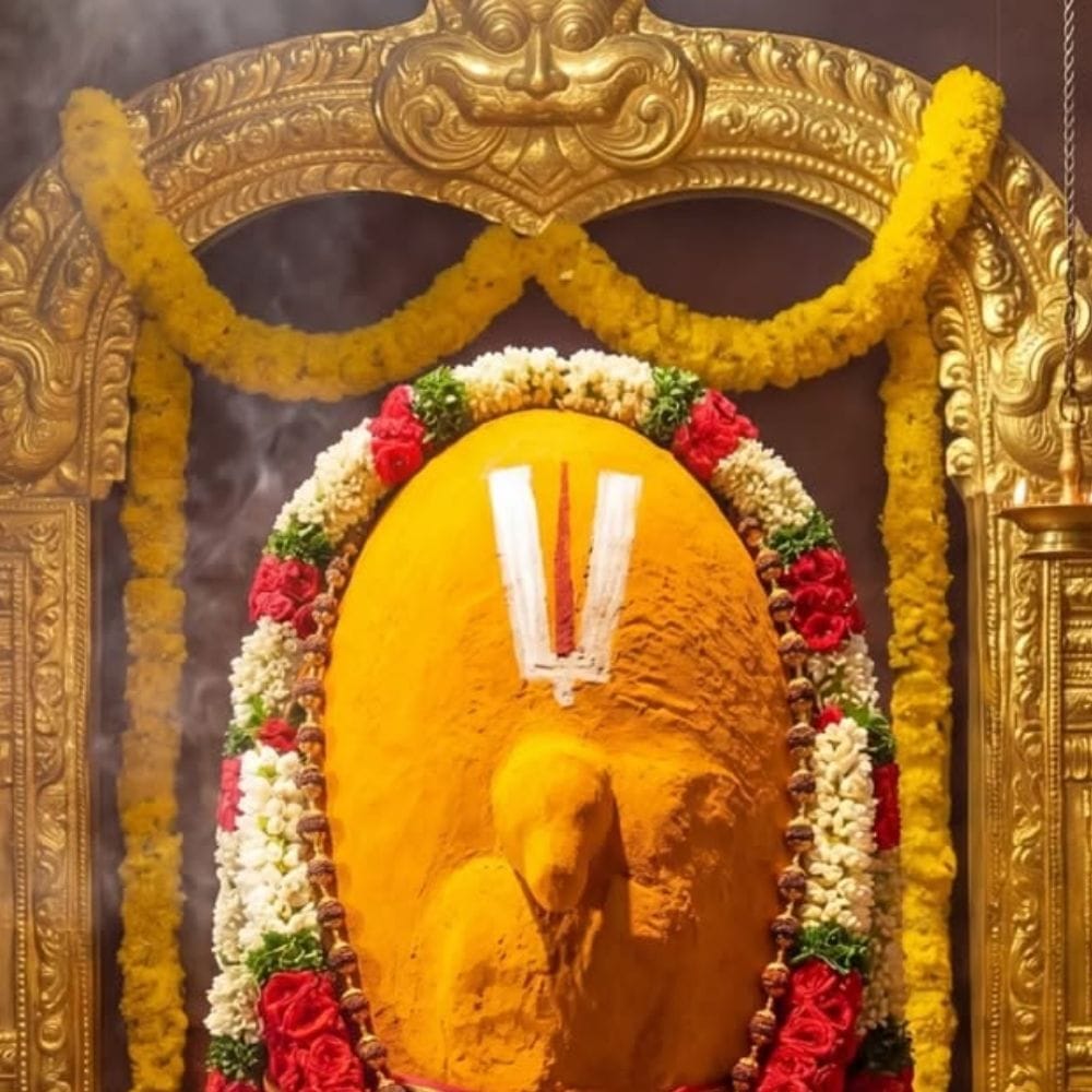 நரசிம்மர் மனித-சிங்க ரூபத்தில் அந்தி நேரத்தில் அவதரித்தார். வீட்டின் வாசற்படியில் வைத்து ஆயுதமின்றி நகங்களால் இரணியனை வதம் செய்தார். அதன் பின்னர் அவர் சாந்தமடைந்து லட்சுமி நரசிம்மராக அருள்பாலித்தார். நரசிம்மர் ஜெயந்தி நாளில் விரதம் இருந்து வழிபட்டால் நன்மைகள் கிடைக்கும்.