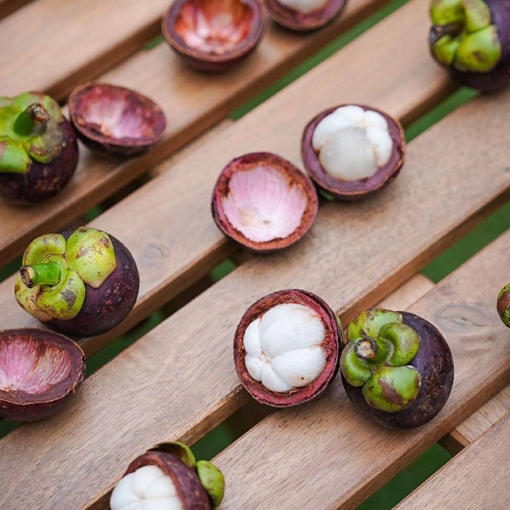 மங்குஸ்தான் மரம் வெப்பமண்டல பகுதிகளில் வளரும்.
அதிக ஈரப்பதமுள்ள சூழல் இதற்கு சிறந்தது.
தாய்லாந்து, மலேசியா போன்ற நாடுகளில் அதிகமாக விளைகிறது.
இந்தியாவில் கேரளா மற்றும் தமிழ்நாட்டிலும் காணப்படுகிறது.