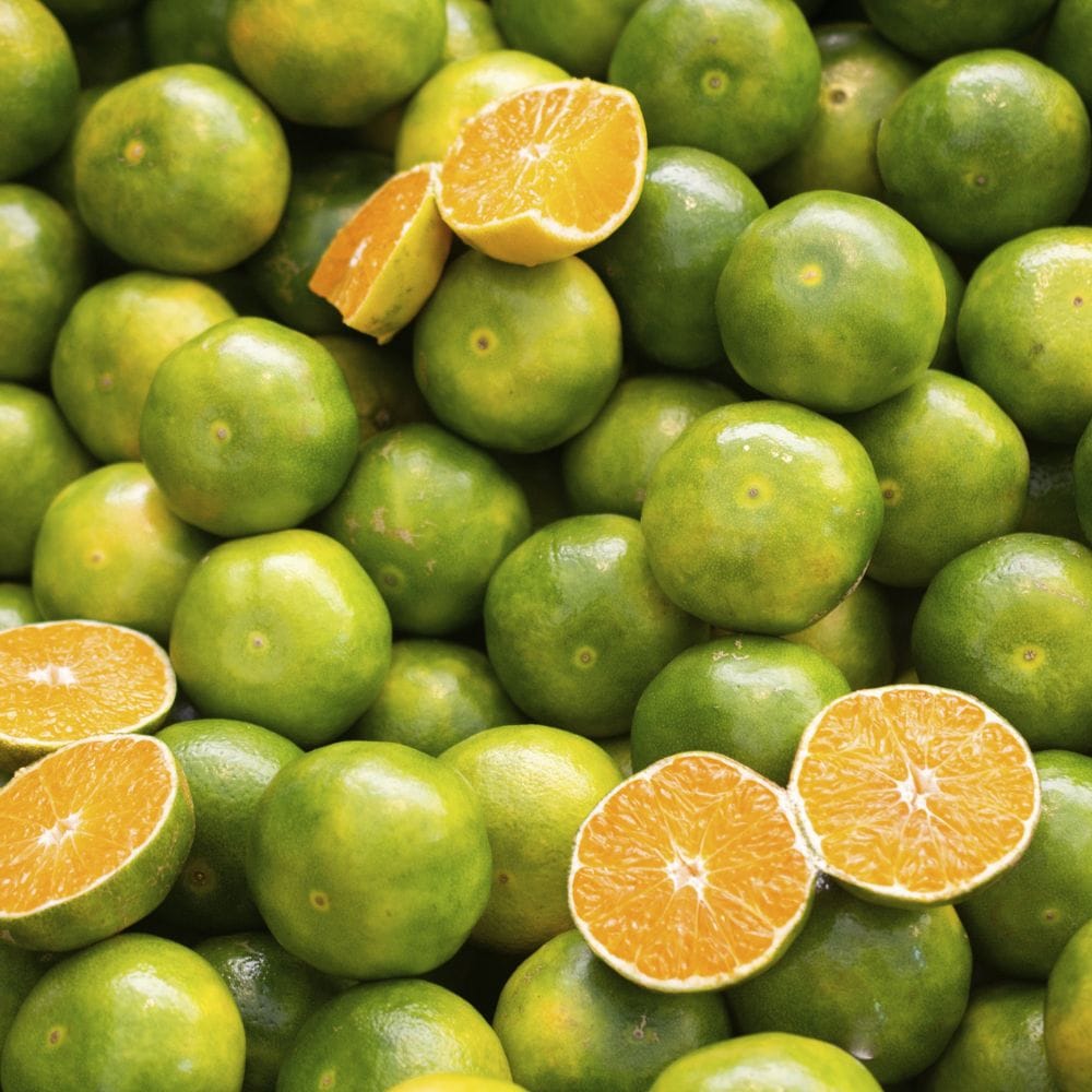 சாத்துக்குடி சிட்ரஸ் பழ வகையைச் சார்ந்தது, இதில் வைட்டமின் சி மற்றும் நார்ச்சத்துக்கள் மிகுதியாக உள்ளன. இது உடலில் உள்ள நச்சுக்களை வெளியேற்றி ரத்தத்தை சுத்திகரிப்பதில் முக்கிய பங்கு வகிக்கிறது. இப்பழத்தை அப்படியே சாப்பிடுவதால் செரிமானம் சீராகி மலச்சிக்கல் போன்ற பிரச்சனைகள் வராமல் தடுக்க உதவுகிறது.