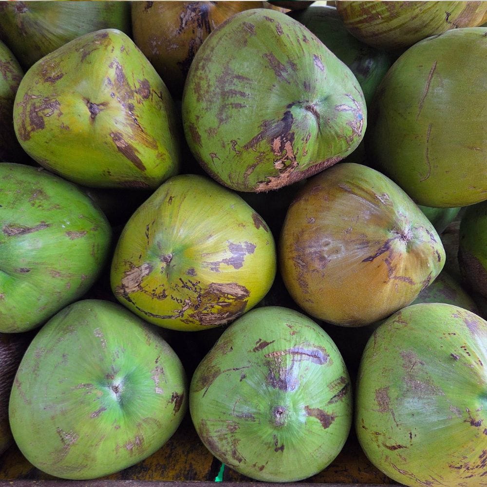 இதில் உள்ள சத்துக்கள் நோய் எதிர்ப்பு சக்தியை அதிகரிக்கும்.
வைட்டமின்கள் மற்றும் மினரல்கள் நிறைந்துள்ளது.
சளி, காய்ச்சல் போன்றவற்றை தடுக்க உதவும்.
குழந்தைகள் எளிதில் நோய்படாமல் பாதுகாக்கிறது.