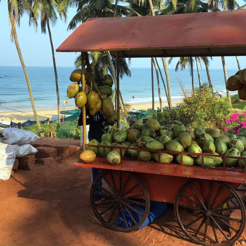 இளநீர் இயற்கையான குளிர்ச்சி தரும் பானமாகும்.
கோடை வெப்பத்தில் உடல் சூட்டை குறைக்க உதவுகிறது.
குழந்தைகள் அதிக வெப்பத்தால் சோர்வடையாமல் காக்கிறது.
உடல் சுறுசுறுப்பாக இருக்க உதவுகிறது.
