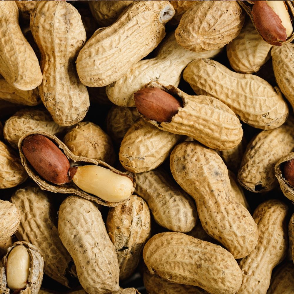 முன்பே ஒரு கப் வேர்க்கடலையை நன்றாக வேகவைத்து எடுத்துத் தயாராக வைத்துக் கொள்ள வேண்டும் என்பதை நினைவில் கொள்ளுங்கள். மசாலா கலவை நன்றாக வதங்கியவுடன், வேகவைத்த வேர்க்கடலையை அதில் சேர்த்து மசாலாக்கள் கடலையில் நன்கு படியுமாறு கிளறி விடவும். பிறகு நாம் ஏற்கனவே அரைத்து வைத்துள்ள நறுமணமான மசாலாப் பொடியையும் அதனுடன் சேர்த்து அனைத்துப் பக்கங்களிலும் படுமாறு கிளறவும். இப்போது ஒரு கிளாஸ் அளவு தண்ணீரை அதில் ஊற்றி, வேர்க்கடலையுடன் மசாலாக்கள் சேர்ந்து கொதிக்கும் வகையில் நன்கு கலந்து விடவேண்டும்.