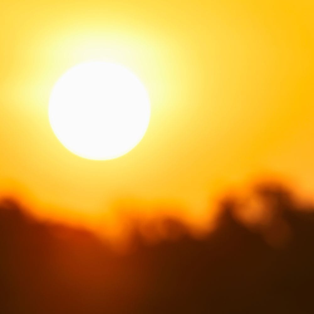 எளிதில் செரிமானமாகும் உணவுகளையும், நீர்ச்சத்து மிகுந்த தர்பூசணி, வெள்ளரிக்காய் போன்ற காய்கறி, பழங்களையும் அதிகம் சேர்த்துக் கொள்ள வேண்டும். அதிக காரம், எண்ணெய் மற்றும் மசாலா கலந்த உணவுகளைத் தவிர்ப்பது உடல் சூடு அதிகரிப்பதைத் தடுக்க உதவும்.