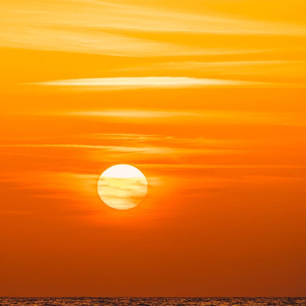 உச்சக்கட்ட வெயில் நிலவும் காலை 11 மணி முதல் மாலை 4 மணி வரை வெளியில் செல்வதைத் தவிர்க்க வேண்டும். தவிர்க்க முடியாத சூழலில் வெளியே சென்றால், அவ்வப்போது நிழலான இடங்களில் ஓய்வெடுத்து உடலை அதிக வெப்பமடையாமல் பார்த்துக் கொள்ள வேண்டும்.