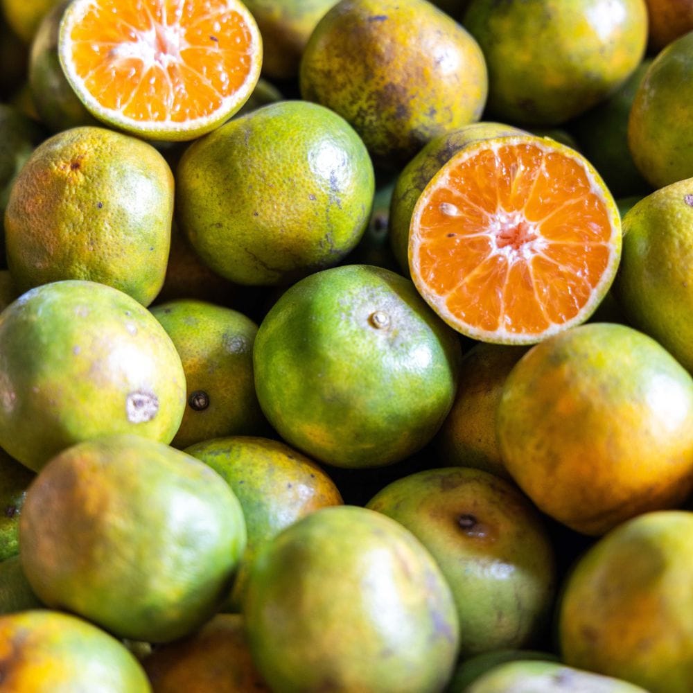 உடல் எடையைக் குறைக்க விரும்புவோருக்கு சாத்துக்குடி ஒரு மிகச்சிறந்த உணவாகும், ஏனெனில் இதில் கலோரிகள் மிகக் குறைவாகவே உள்ளன. இதில் உள்ள சிட்ரிக் அமிலம் உடலில் தேங்கியுள்ள தேவையற்ற கொழுப்புகளைக் கரைத்து வளர்சிதை மாற்றத்தை (Metabolism) ஊக்குவிக்கிறது.