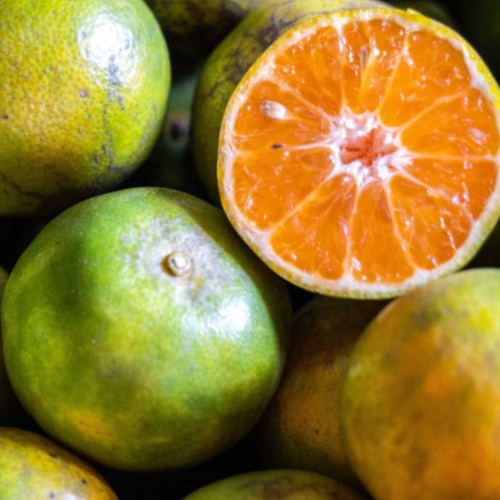 சாத்துக்குடியில் உள்ள வைட்டமின் சி சருமத்தில் கொலாஜன் உற்பத்தியை அதிகரித்து முகப்பரு மற்றும் சுருக்கங்களை வராமல் தடுக்கிறது. இதன் சாற்றை முகத்தில் தடவி வருவதால் கரும்புள்ளிகள் மறைந்து சருமம் இயற்கையான பொலிவைப் பெறுகிறது.