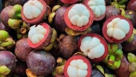 இளமையை காக்கும் இயற்கை பழம் மங்குஸ்தான்...