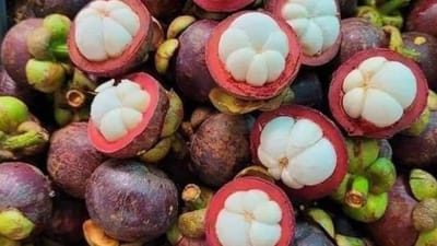 இளமையை காக்கும் இயற்கை பழம் மங்குஸ்தான்