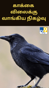 ஹைதராபாதில் வினோத சம்பவம்.. காக்கை விலைக்கு வாங்கிய நிகழ்வு.....