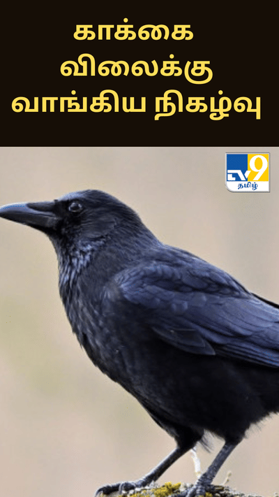 ஹைதராபாதில் வினோத சம்பவம்.. காக்கை விலைக்கு வாங்கிய நிகழ்வு..