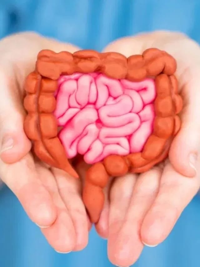 கோடையில் செரிமானத்தை மேம்படுத்தும் உணவுகள்!