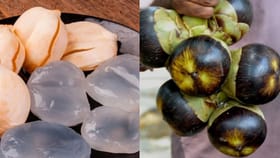 Summer Tips: கோடையில் வெயிலை அசால்ட் செய்யும் ஐஸ் ஆப்பிள்.. உடலுக்கு ஸ்பெஷல் பெனிஃபிட்ஸ்!...