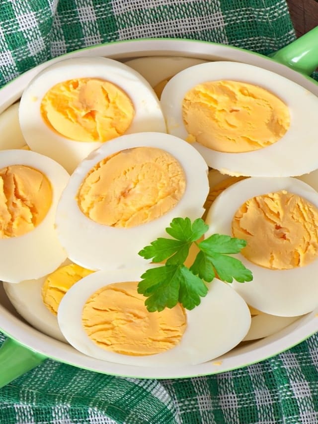 முட்டை சைவமா..? அசைவா..?