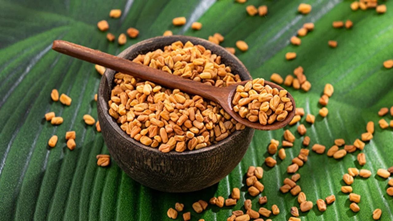 இரவில் ஊறவைத்த வெந்தயத்தை நீரில் கலந்து பருகுவது பல்வேறு ஆரோக்கிய நன்மைகளை வழங்கும். இவற்றில் மிக முக்கியமான ஒன்று உடல் எடையைக் கட்டுப்படுத்துவதாகும். வெந்தயத்தில் கரையக்கூடிய நார்ச்சத்து அதிக அளவில் உள்ளது. இது செரிமான செயல்முறையை மெதுவாக்கி, நீண்ட நேரத்திற்கு வயிறு நிரம்பிய உணர்வை ஏற்படுத்துகிறது. இதனால் உடல் எடையைக் கட்டுப்படுத்த உதவுகிறது.