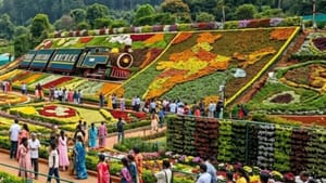 மக்களே கோடை விழாவுக்கு தயாரா.. கண்களை கட்டி இழுக்கும் வண்ண மலர்கள்.. விரைவில் தொடங்குகிறது ஊட்டி மலர் கண்காட்சி!