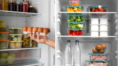 குளிர்சாதனப் பெட்டியில் வைக்கப்படும் உணவு எப்போது கெட்டுப்போகும்?