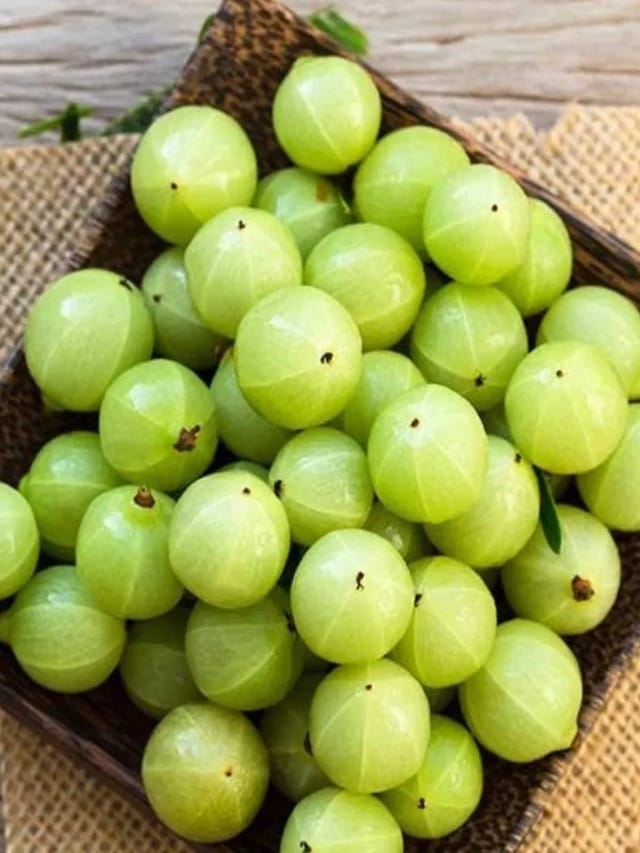 கோடையில் ஆரோக்கியத்தை காக்கும் நெல்லிக்காய்..!