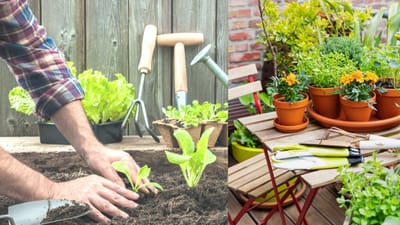 வீட்டுத் தோட்டம்: செடிகள் செழிக்க சூப்பர் டிப்ஸ்..!