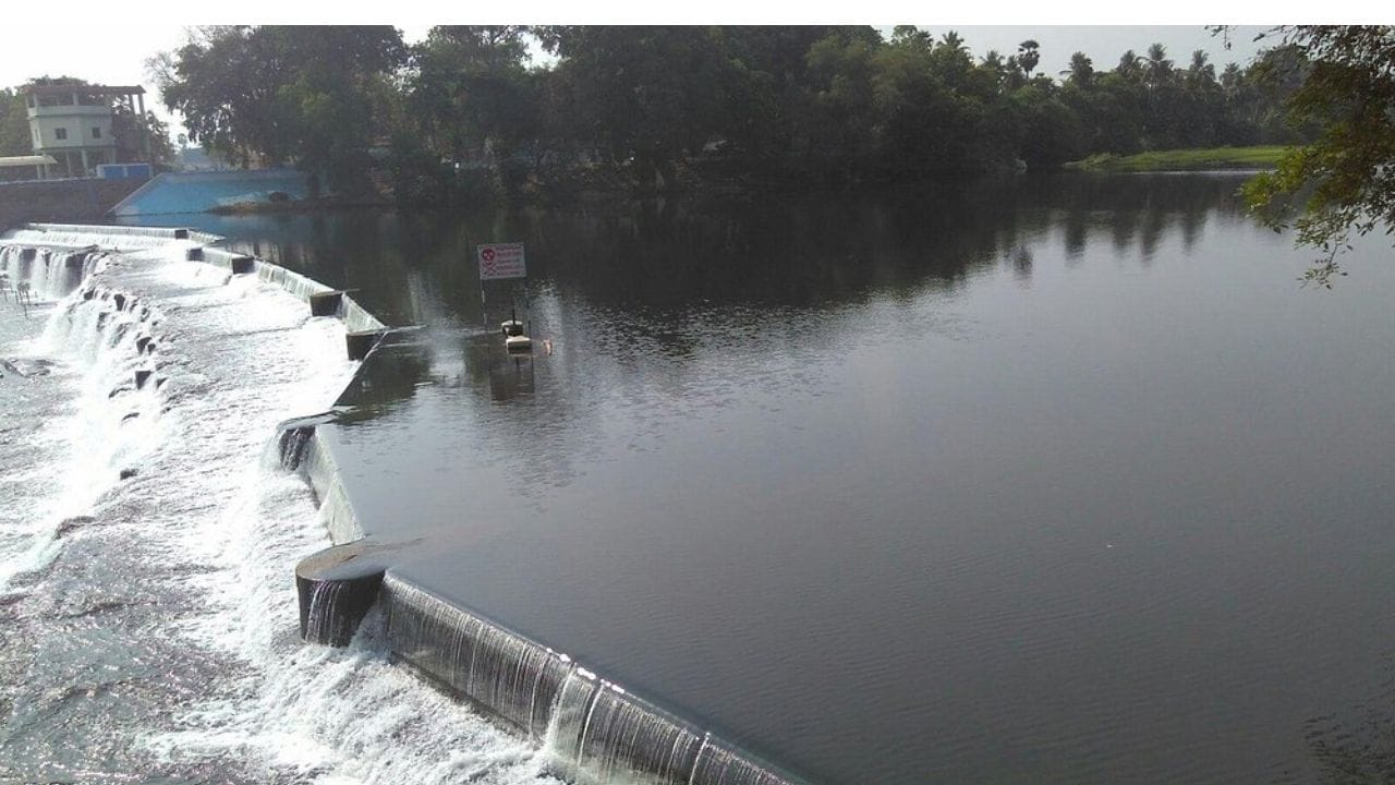 இங்கு சுற்றுலா வரும் சுற்றுலா பயணிகள்  இந்த கொடிவேரி அணையில்  இருந்து  கொட்டும் நீரில்  துள்ளல் குளியல்  போட்டு மகிழலாம்.  இதை முடித்துக் கொண்ட கையோடு  அருகிலேயே அமைந்திருக்கிறது  சிறுவர்கள் பூங்கா.  அங்கு, பச்சை பசேல் என்று  வானுயர வளர்ந்து நிற்கும் மரங்கள், அதன் மேலே தவழ்ந்து  படர்ந்திருக்கும் கொடிகள்  என ஏராளமான  தாவரங்கள் உள்ளன. இங்கு இயற்கையோடு  உறவாடியவாறு  காலாற நடை போட்டு செல்லலாம்.  அதன் அருகிலேயே அமைந்துள்ளது பரிசல் சவாரி.