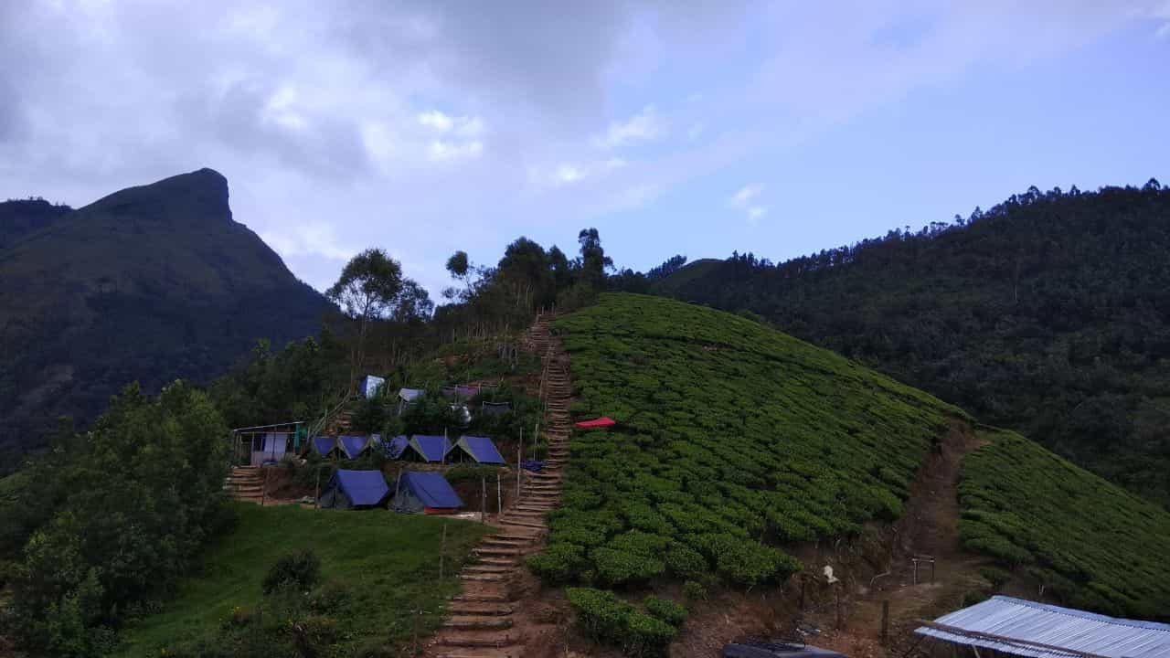 பச்சை கம்பளம் விரித்த தேயிலை தோட்டம்.. தேகத்தை முத்தமிட்டு செல்லும் மேகக்கூட்டம்.. கோடை சுற்றுலாவுக்கு வெயிட்டான ஸ்பாட்!