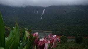 கொளுத்தும் வெயிலுக்கு குட்பை.. சிலிர்க்க வைக்கும் சுற்றுலா தலம்!