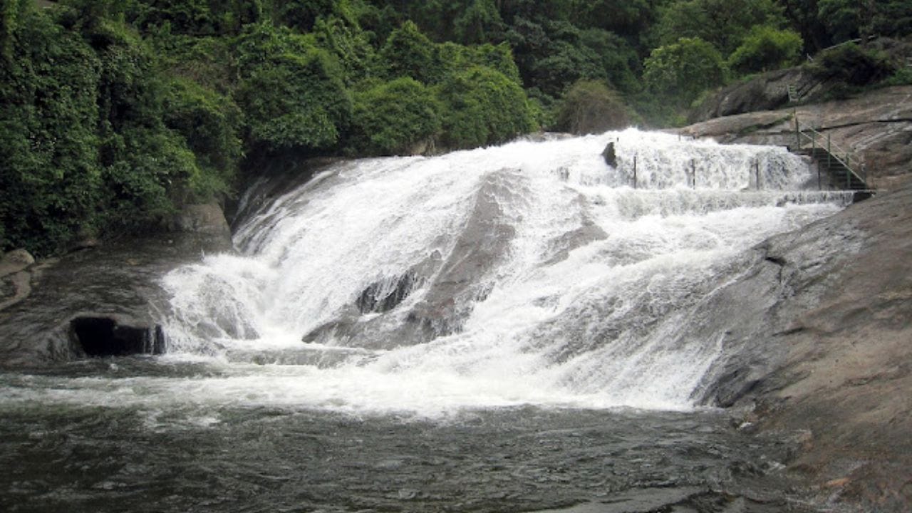 அவ்வாறு  செல்கையில்,  காடுகளின் உள்ளே  ரிங் என  ரிங்காரமிடும்  வண்டுகள்,  கீச் கீச் என  சத்தமிடும்  பல்வேறு வகையான  வண்ணப் பறவைகள்  என  நம்மை ஆர்ப்பரிக்க செய்யும்  வகையில்  இந்த பகுதி அமைந்திருக்கும். அத்துடன்,  முக்கிய இடமான  கோவை குற்றாலம்  சிறுவாணி நீர்வீழ்ச்சி  பகுதியை அடைந்தவுடன்  அங்கு மேற்கு தொடர்ச்சி மலையில் இருந்து கொட்டும்  ஆர்ப்பரித்து கொட்டும்  குற்றால அருவியில்  அட்டகாசமான  குளியலை  போட்டுக் கொள்ளலாம். குடும்பத்தோடு  சுற்றுலா செல்வதற்கு ஏற்ற இடமாக விளங்கி வருகிறது கோவை குற்றாலம் சிறுவாணி நீர்வீழ்ச்சி.
