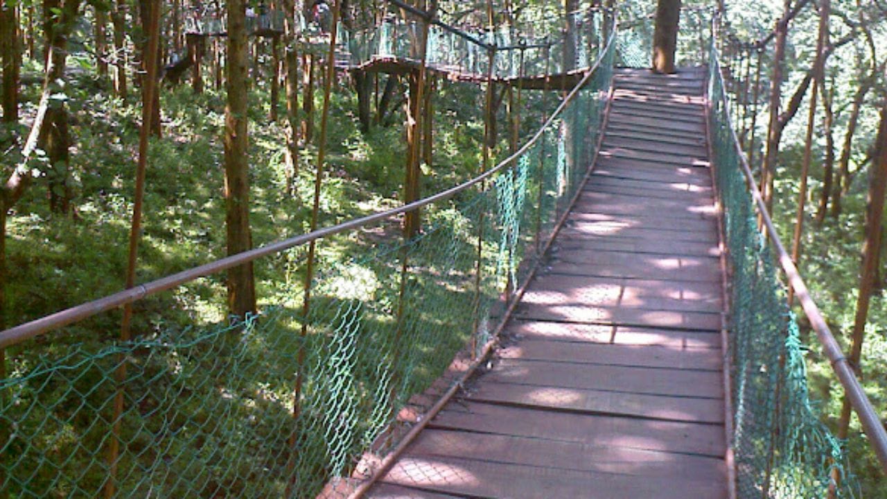 அப்படியே குளியலை முடித்துவிட்டு  சற்று நகர்ந்தால் ஆங்காங்கே  மரங்களால் செய்யப்பட்ட வீடுகள் அமைந்திருக்கும்.  அங்கு,  தங்கியிருந்து  சுற்றுலா அனுபவத்தை  மேலும் மெருகேற்றலாம்.  அதாவது தங்கி இருந்து அந்த பகுதி முழுவதும் சுற்றி பார்த்து  வீடு திரும்பலாம்.  ஒரு நாள் சுற்றுலா பயணத்துக்கு ஏற்ற இடம் ஆகவும்  கோவை குற்றாலம் நீர்வீழ்ச்சி பகுதி  விளங்கி வருகிறது.