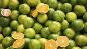 ஆரோக்கியத்தின் அருமருந்து: அற்புதம் தரும் சாத்துக்குடி!...