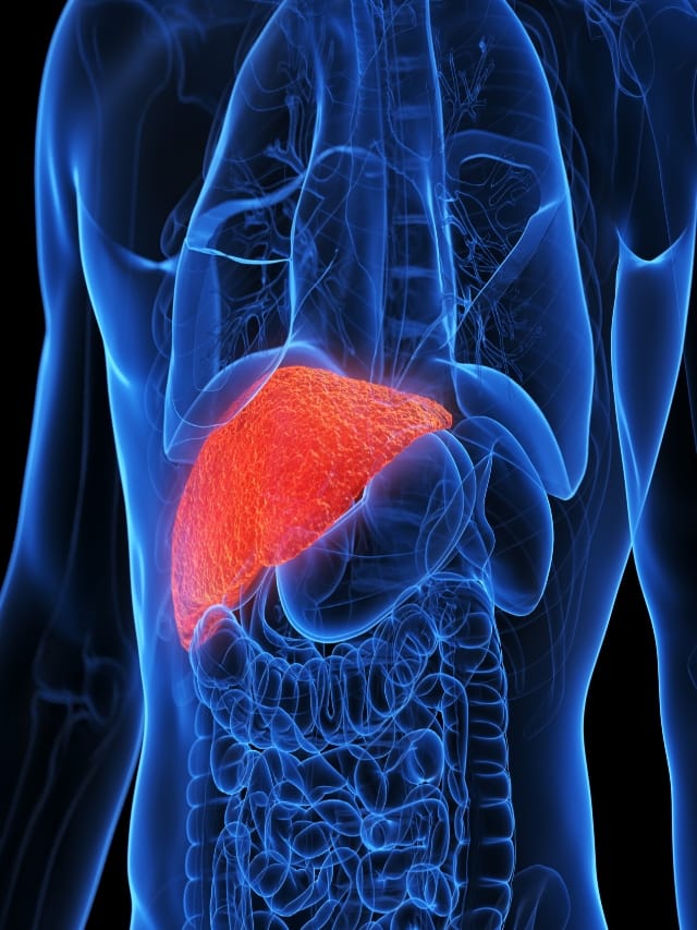 கல்லீரலை பாதுகாக்கும் 10 முக்கிய உணவு பொருட்கள்!