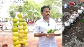 ஊழல் அரசியல்வாதிகள் ரத்தம் கக்க வேண்டும்.. சுடுகாட்டில் விபரீத பூஜை செய்த சுயேட்சை வேட்பாளர்.. முழு விவரம் உள்ளே!...