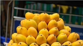 உஷார் மக்களே! ரசாயன மாம்பழங்களுக்கு இனி இடமில்லை – ரூ.5000 அபராதத்துடன் உரிமம் ரத்து!