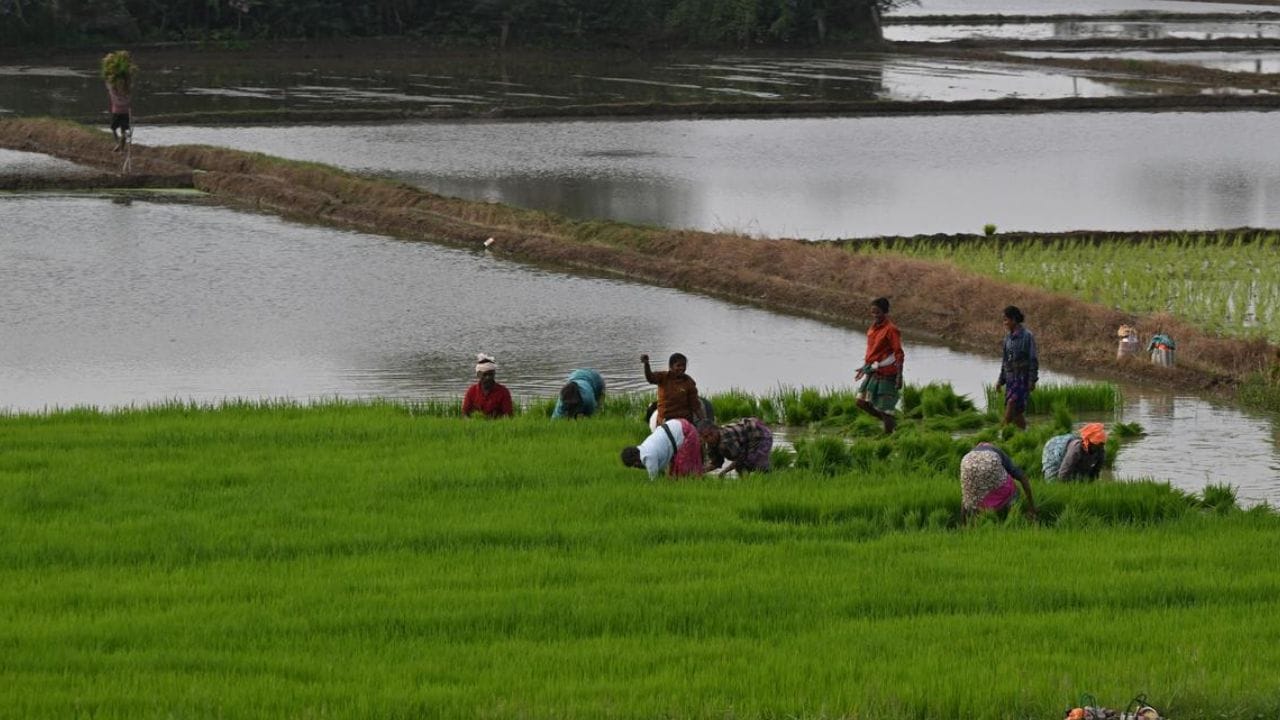 இந்த தொகுதி, திமுக வலுவாக இருக்கும் தொகுதியாகக் கருதப்படுகிறது. டெல்டா பகுதி என்பதால், நீர், விவசாயம், நலத்திட்டங்கள் போன்றவை முக்கிய தேர்தல் பிரச்சினைகளாக பார்க்கப்படுகின்றன. திமுக வலுவாக இருந்தாலும், இது திமுக மற்றும் அதிமுக இடையே கடுமையான போட்டி நிலவும் தொகுதியாகவும் உள்ளது.