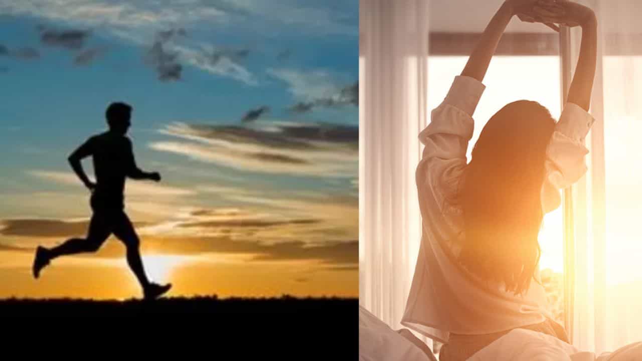 ஏன் சாதிப்பவர்கள் சீக்கிரம் எழுகிறார்கள்? இதோ அந்த ரகசியம்! ஏன் சாதிப்பவர்கள் சீக்கிரம் எழுகிறார்கள்? இதோ அந்த ரகசியம்!