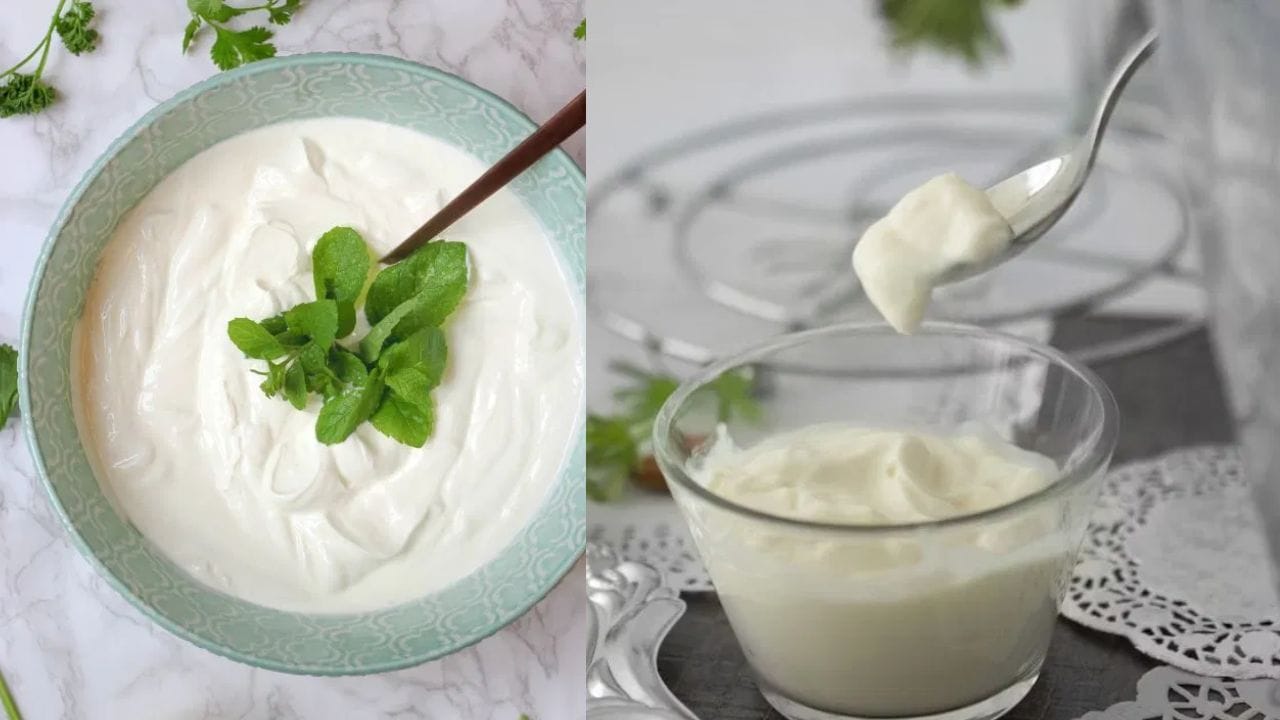 சாதாரணத் தயிரை விட கிரீக் தயிரில் அதிக அளவு புரதம் நிறைந்துள்ளது. காலை வேளையில் பழங்கள் மற்றும் பருப்புகளுடன் சேர்த்து கிரீக் தயிரை நீங்கள் உண்ணலாம். 200 கிராம் தயிரிலிருந்து சுமார் 18 முதல் 20 கிராம் வரையிலான புரதத்தைப் பெற முடியும்.