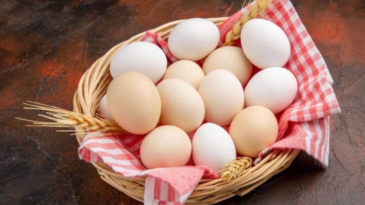 உடலுக்குத் தேவையான புரதத்தைப் பெறுவதற்கு முட்டைகளே மிகச்சிறந்த தேர்வாகும். இவற்றை ஆம்லெட்டாகவும், வேகவைத்தும் அல்லது பிற வகைகளிலும் சமைத்து உண்ணலாம். நான்கு பெரிய முட்டைகளின் மூலம் சுமார் 24 கிராம் புரதத்தைப் பெற முடியும்.