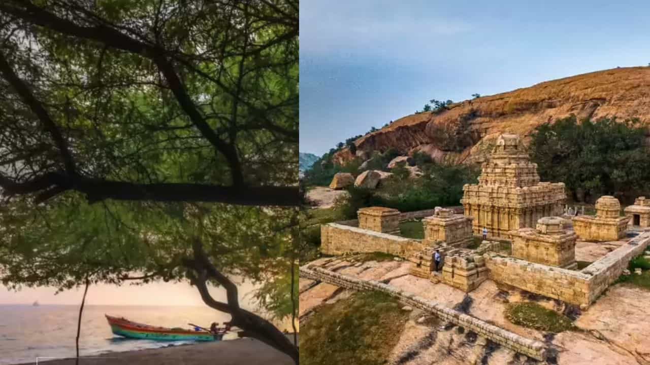 வரலாறு வாழும் புதுக்கோட்டை: கண்டிப்பாக பார்க்க வேண்டிய இடங்கள் வரலாறு வாழும் புதுக்கோட்டை: கண்டிப்பாக பார்க்க வேண்டிய இடங்கள்