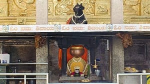 நந்தி வாயிலிருந்து வழியும் தீர்த்தம்: பெங்களூருவின் அதிசய தட்சிணமுக நந்தி தீர்த்த கல்யாணி கோவில்