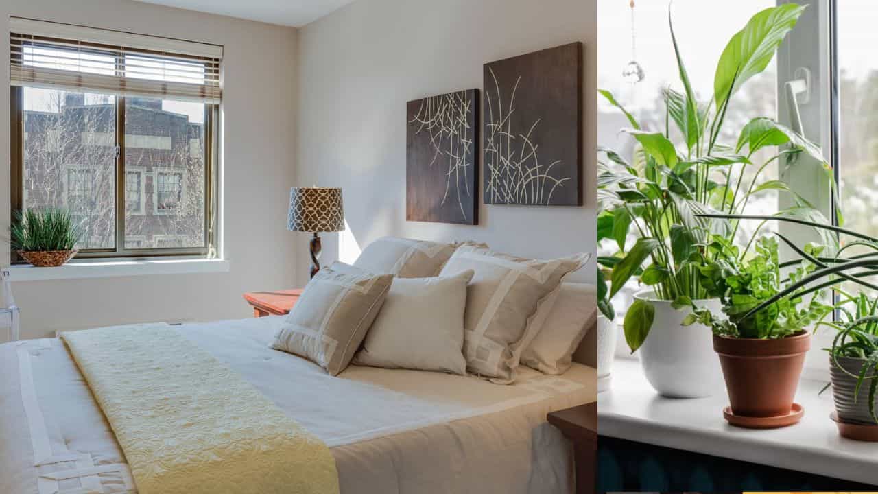 ஏசி இல்லாமலே வீட்டை ஜில்லென்று வைத்திருக்க 5 அருமையான வழிகள்!