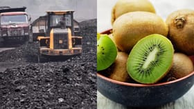 ஹேப்பி நியூஸ்.. நிலக்கரி முதல் கிவி பழம் வரை.. வரி குறைக்கும் நியூசிலாந்து..  புது ஒப்பந்த விவரம்!...