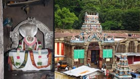 பங்குனி விழா: குற்றாலத்தில் தேர் திருவிழா கோலம்!...