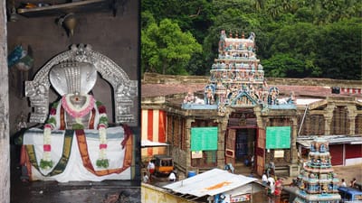 பங்குனி விழா: குற்றாலத்தில் தேர் திருவிழா கோலம்!