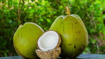 30 நாட்கள் தொடர்ந்து இளநீர் குடித்தால் உடலில் ஏற்படும் மாற்றங்கள்