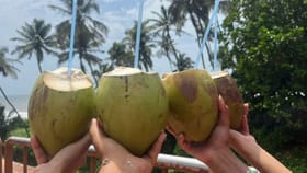 வெயிலால் வியர்க்கும் விருதுநகர்… விண்ணைத்தொட்ட இளநீர் விலை...