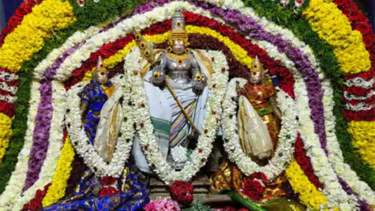 வழிபாட்டின் பலன்கள்: இந்த நாளில் ஏழைகளுக்கு உணவு அல்லது வஸ்திர தானம் செய்வது விசேஷமானது. வீடு அல்லது நிலம் தொடர்பான வழக்குகளில் சிக்கியிருப்பவர்கள் வராஹ மூர்த்தியை வழிபட்டால் விரைவில் தீர்வு கிடைக்கும். மனதில் உள்ள தேவையற்ற பயம் நீங்கி, மன உறுதி மற்றும் தைரியம் பெருகும். இழந்த செல்வம் மற்றும் கௌரவத்தை மீண்டும் பெற இந்தத் திருநாள் உகந்தது.