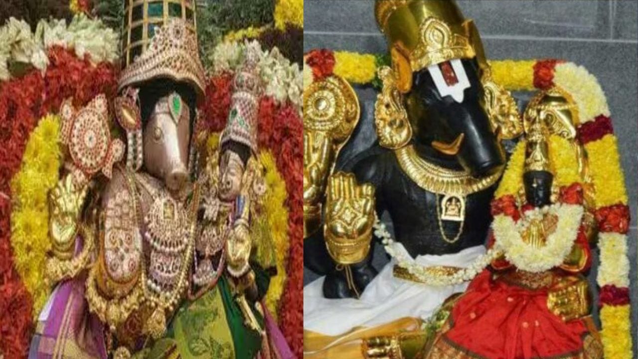 உலகைக் காக்க மகாவிஷ்ணு ஒரு பிரம்மாண்டமான பன்றி (வராஹம்) உருவெடுத்து கடலுக்குள் சென்றார். அங்கு அசுரனை வதம் செய்து, தனது கூர்மையான கோரைப் பற்களால் பூமி தேவியைத் தூக்கி வந்து பழையபடி நிலைநிறுத்தினார். இந்த அவதாரம், அதர்மம் அழியும் என்பதையும், பூமி தேவியின் மீதான இறைவனின் கருணையையும் பறைசாற்றுகிறது.